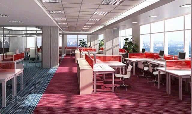 Cho thuê nhà 3.500m2 mặt phố cầu giấy trần cao và rất thoáng