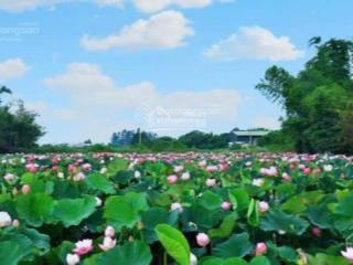 Bán 94,4m2 view hồ sen linh sơn sát công nghệ cao, đh fpt, làng đhqg hòa lạc