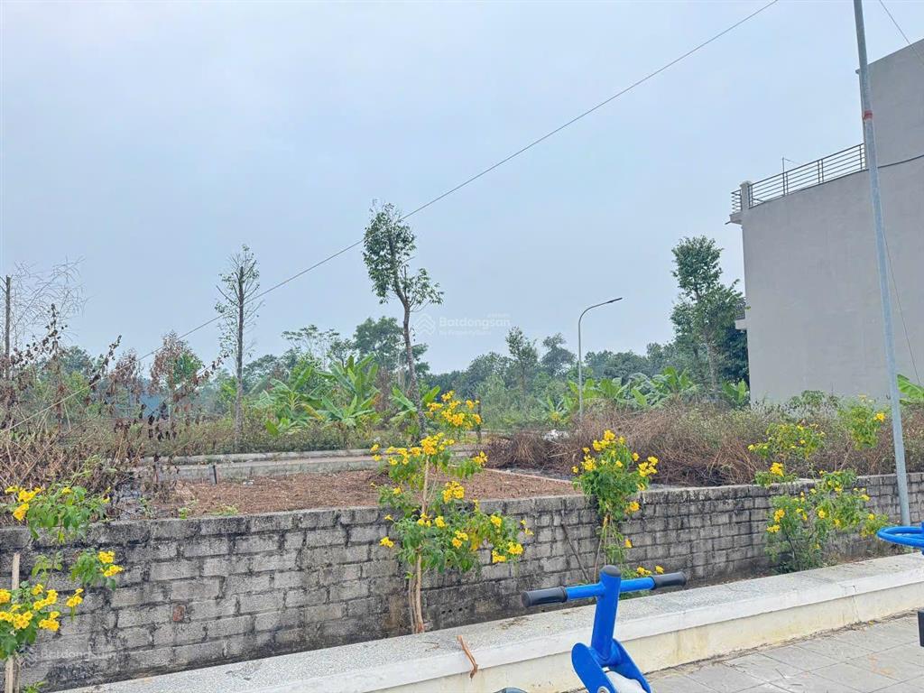 Bán 60,5m2 cổ đông, sơn tây gần làng đhqg giá chỉ 2,350 tỷ/lô