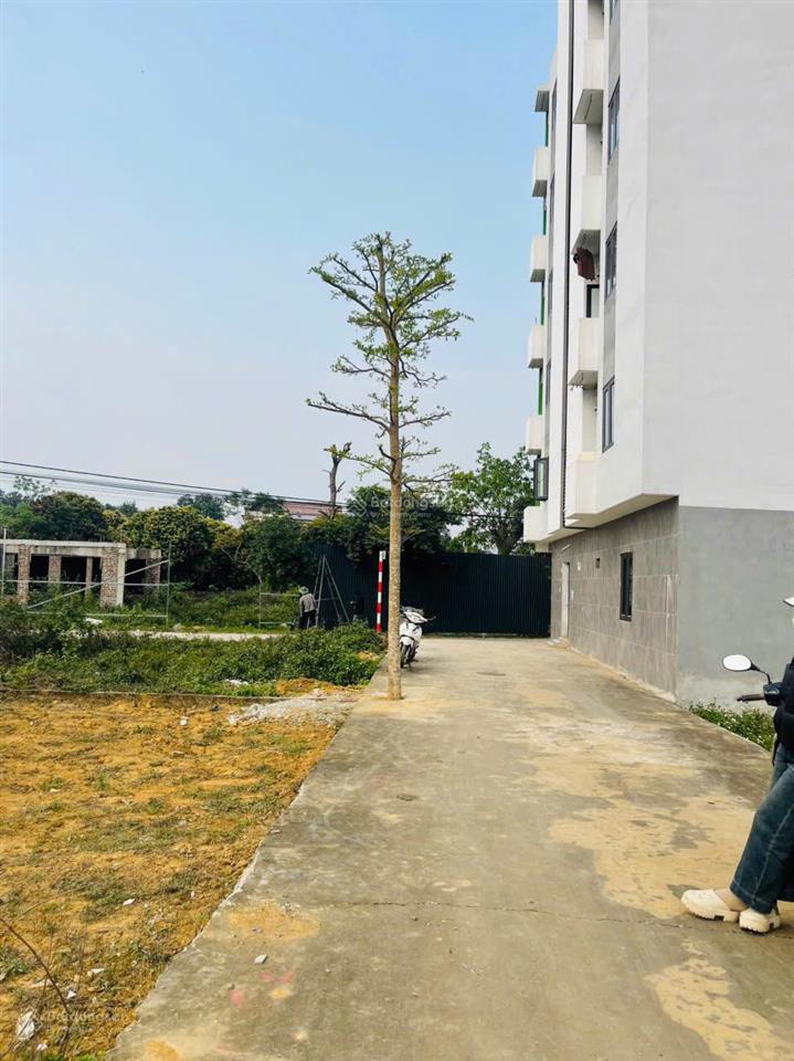 154m2 sát công nghệ cao và gần đh fpt, làng đhqg hòa lạc... xây trọ đón thêm 20.000 sv về 2026