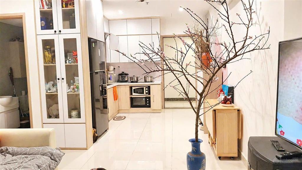 3n nội thất đẹp như hình tòa s4