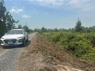 Chính chủ bán 1000m2 vườn (12x100m) mặt tiền kênh b1 thạnh hoà bến lức long an