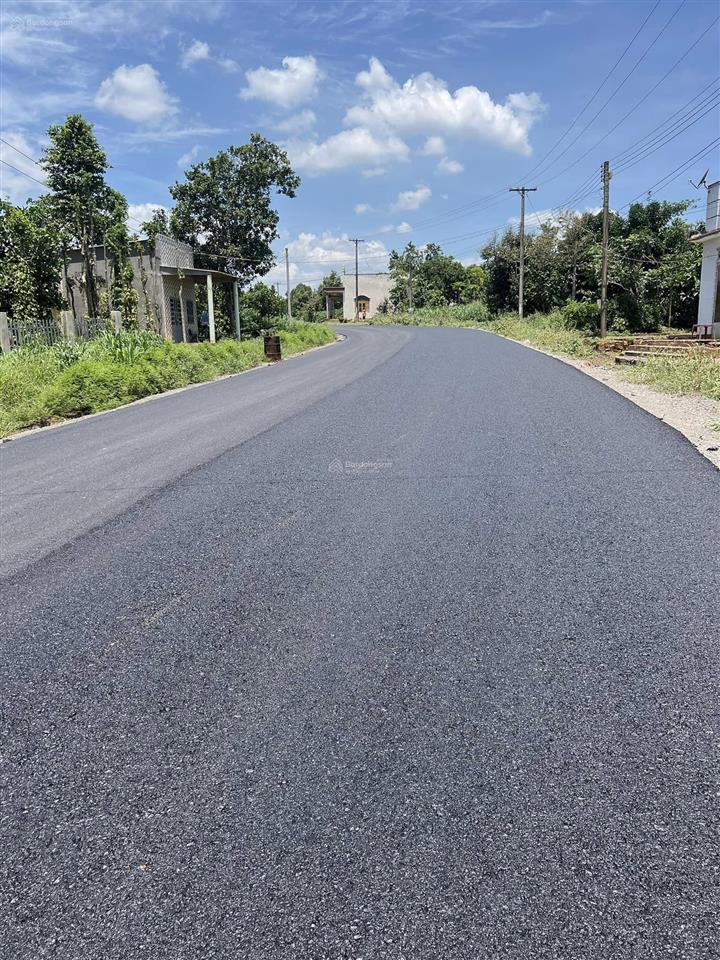 Bán đất mặt đường, vườn sinh thái bảo bình, cẩm mỹ