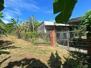 Bán đất mặt đường, vườn sinh thái bảo bình, cẩm mỹ