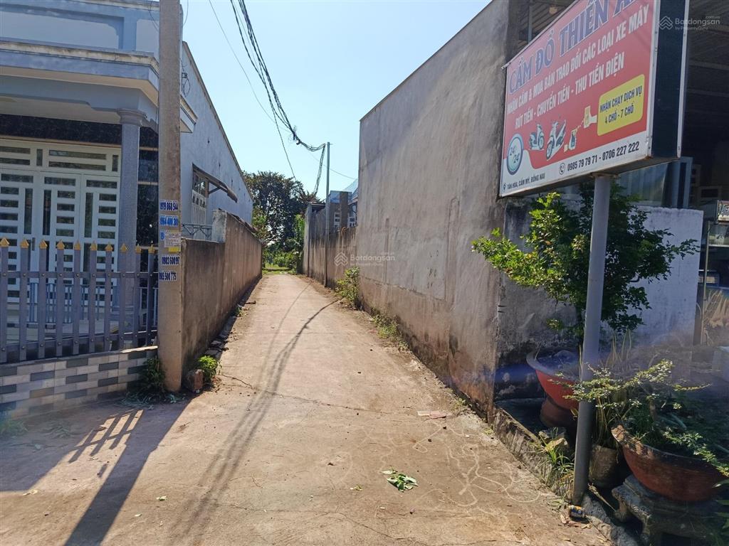 Bán đất mặt đường, vườn sinh thái bảo bình, cẩm mỹ