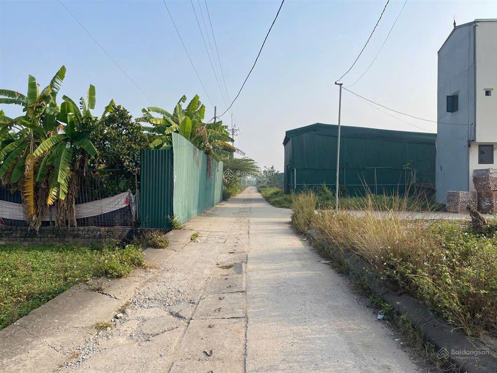 Bán đất đấu giá hoáng xá, khánh hà 82m
