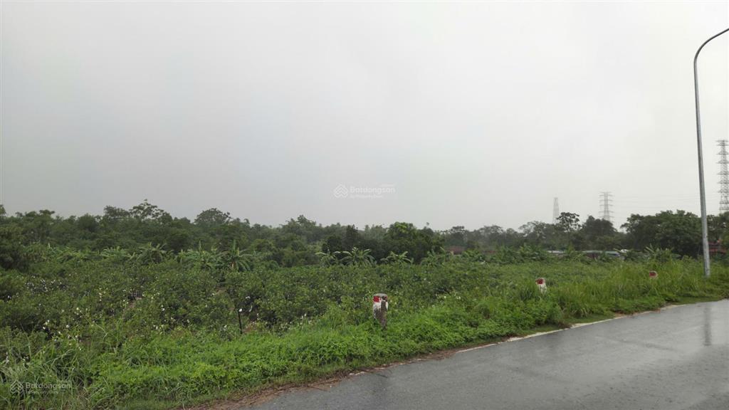 Cho thuê đất làm farm stay sinh thái, kho bãi nhà xưởng nhẹ