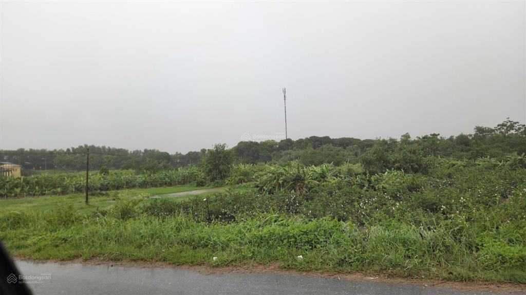 Cho thuê đất làm farm stay sinh thái, kho bãi nhà xưởng nhẹ