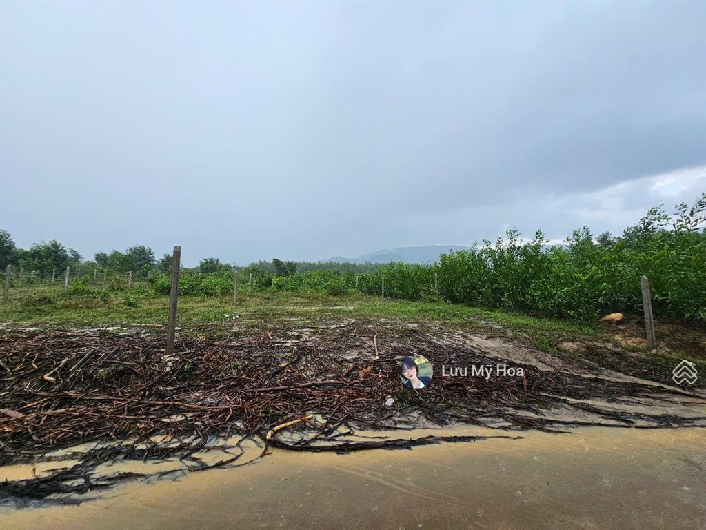 Bán lô đất chỉ 250 triệu quá rẻ, khánh đông cách trung tâm nha trang chỉ 36km đường ô tô, gần chợ