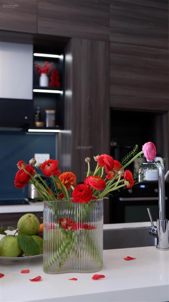 Nhà 2mt trước sau dt rộng 133,5m2  view bt đường vũ thành năm