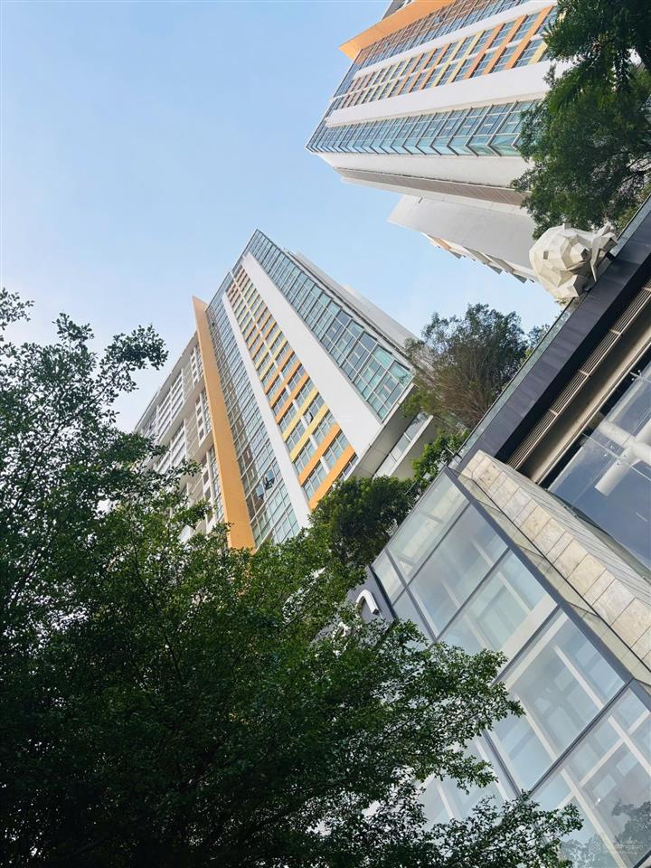 Hot hiếm! bán căn hộ 3 phòng ngủ the vista an phú quận 2 có sổ giá rẻ 13,6 tỷ tl view sông thoáng