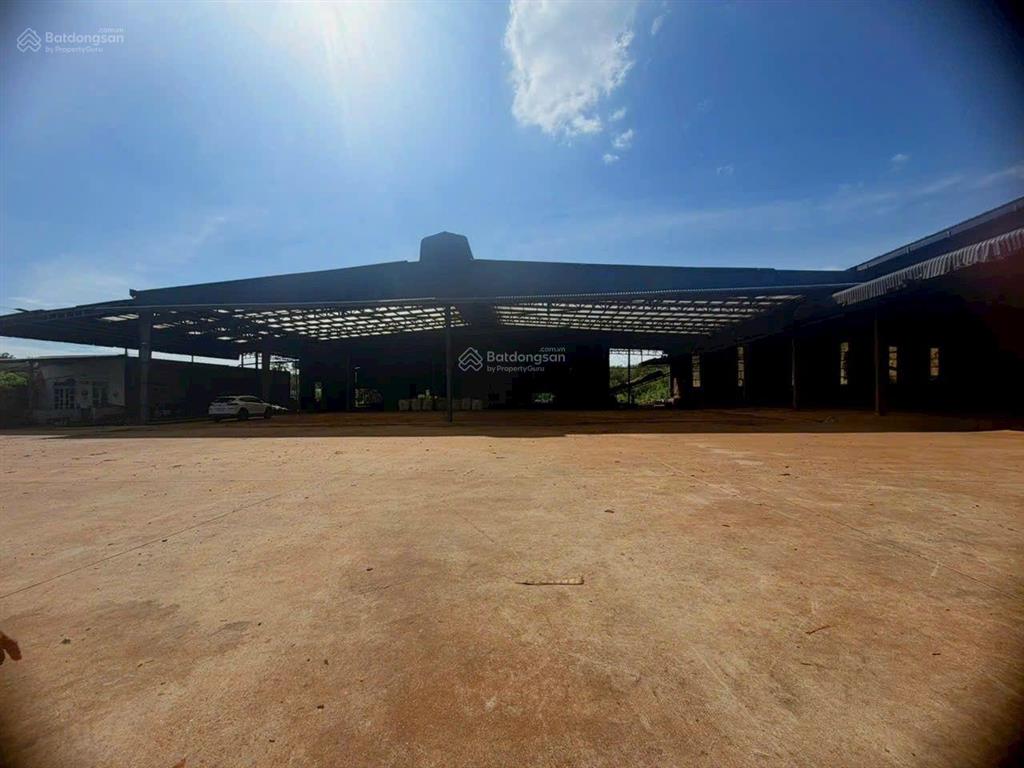 Cho thuê xưởng khuôn viên 14.000m2. phù hợp cưa xẻ gỗ, tái chế, phú giáo bình dương