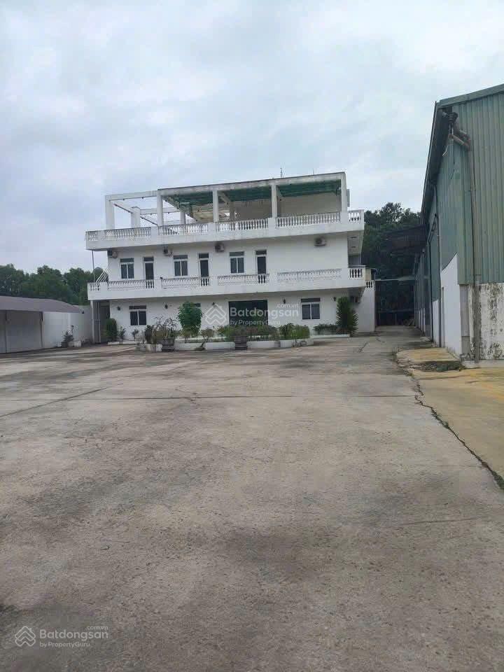 Cho thuê kho xưởng 2500m2. pccc đầy đủ giấy tờ. nền sơn epoxy, hòa lợi, bến cát. gần tp mới