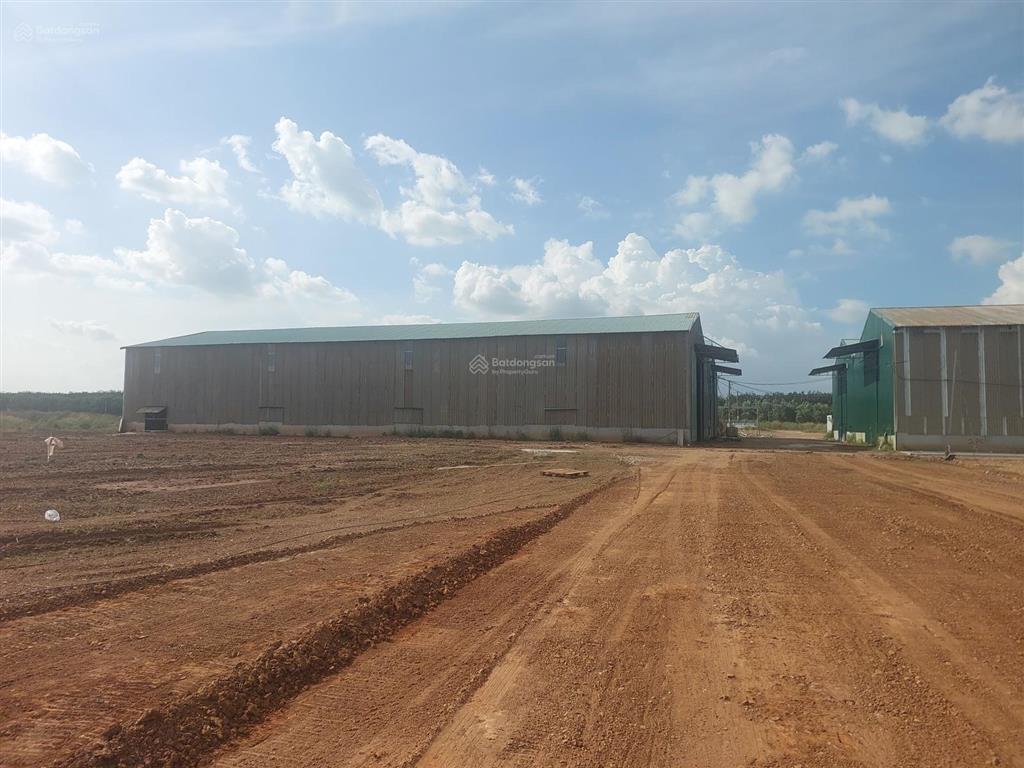 Cho thuê kho xưởng mới xây đa diện tích. nằm cụm sản xuất long thành, đồng nai. sản xuất đa nghề