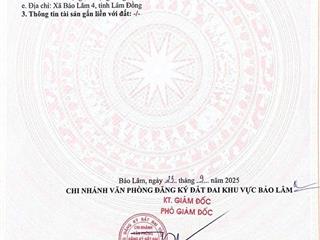 Bán quỹ đất 38.000m² mặt tiền đt725 bảo lâm, lâm đồng đã phân lô từ 200m  300m2, đầu tư sinh lời