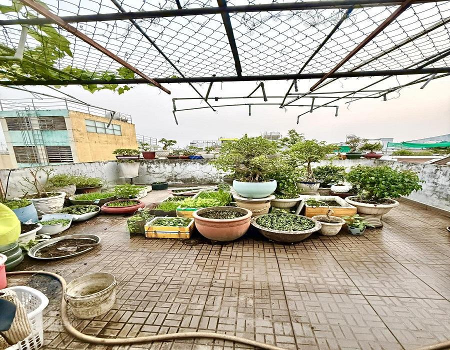 Bán nhà hxh 6m, nguyễn hữu tiến, tây thạnh, tp hcm, 58m2, 4 tầng