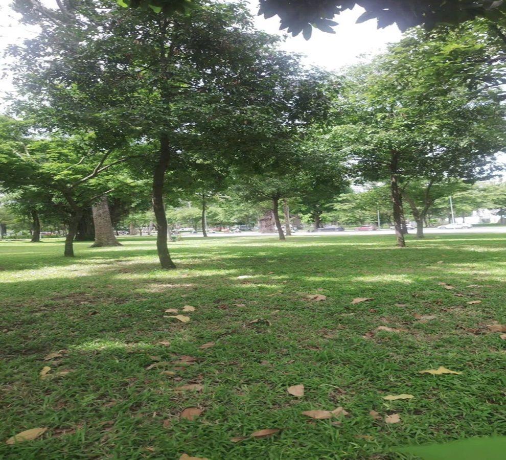Ban đất HXH đường Bạch Đằng, Phường Tân Sơn Hòa, TPHCM, 176m2, ngang gần 5m.  