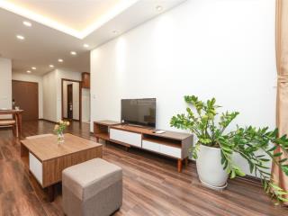 Cho thuê căn hộ full đồ 02 ngủ 120m2 ngõ 11 đường tây hồ