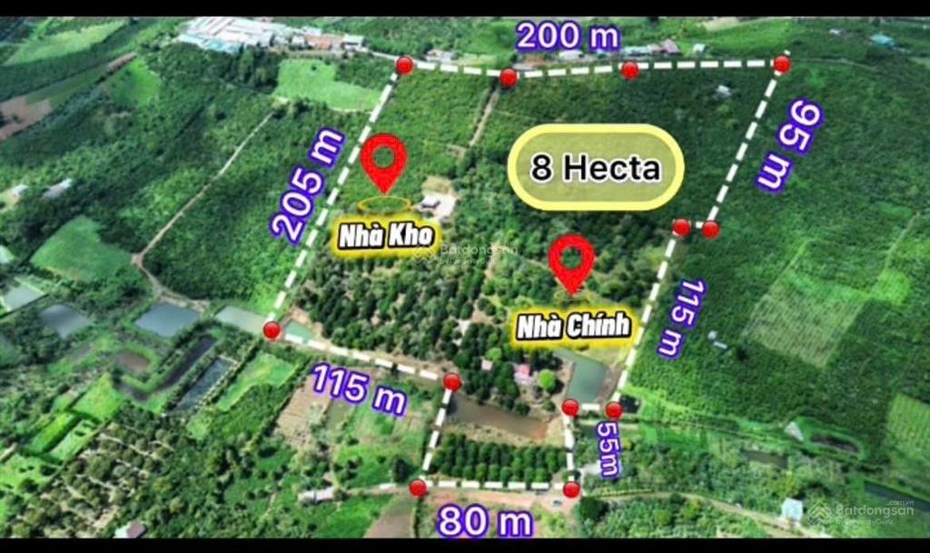 Bán đất chính chủ mt 800m có cây ăn trái thu nhập cực cao