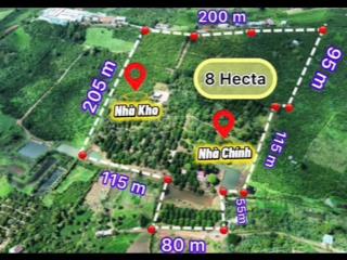 Bán đất chính chủ mt 800m có cây ăn trái thu nhập cực cao