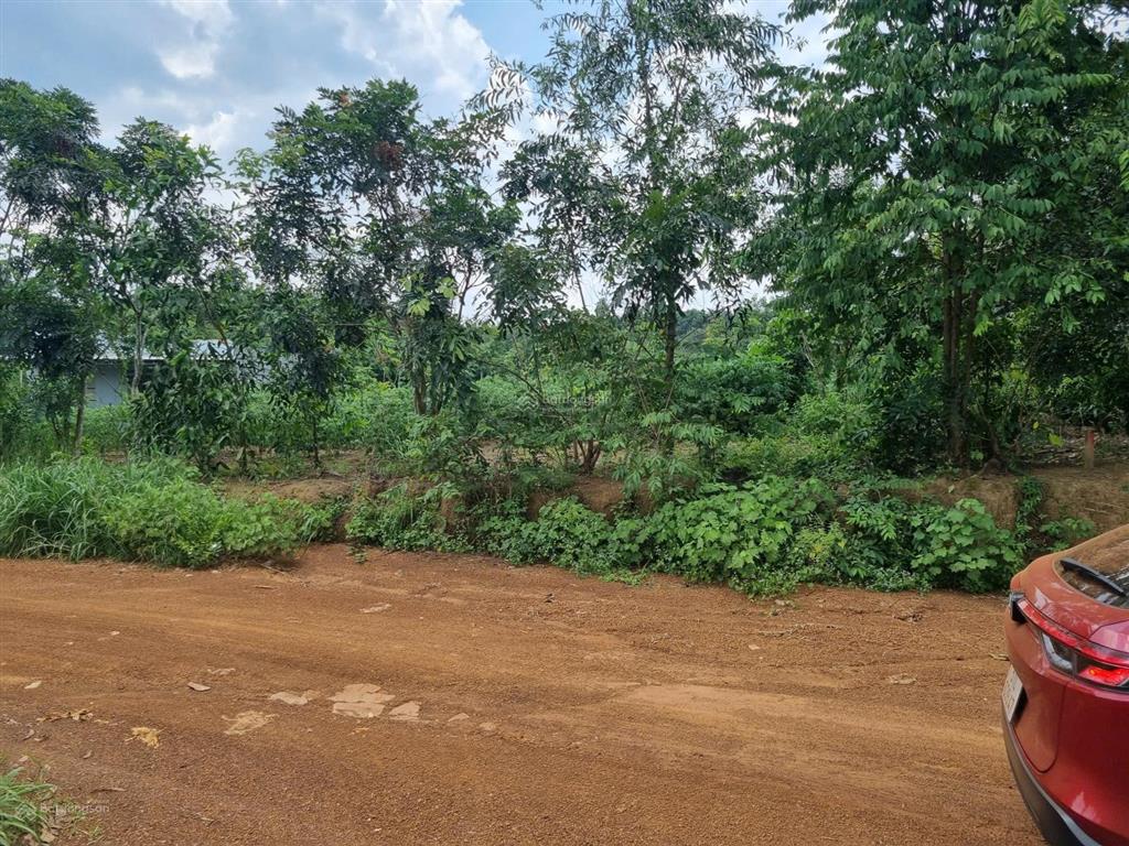 Chính chủ bán đất góc 2 mặt tiền 967m² có sổ riêng tại hớn quản, bình phước