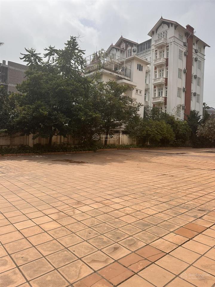 Biệt thự siêu rộng 1600m2 mặt đường khu chân cầu rào 1. giá 24,5 tỷ
