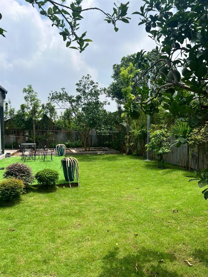 Chính chủ cần bán gấp 1.650m² đất tại đông mỹ thanh trì, hà nội, giá chỉ 2.35 tỷ