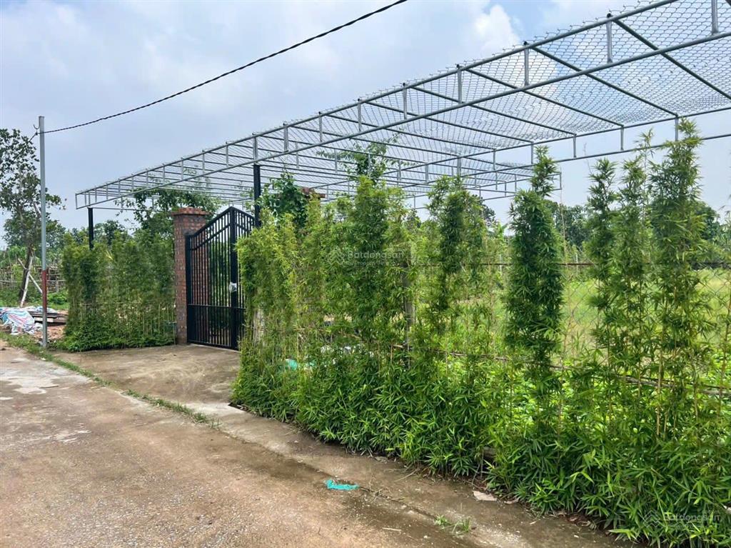 Bán đất 1.200m2 xã đông mỹ thanh trì, đường 10m ô tô container vào tận nơi