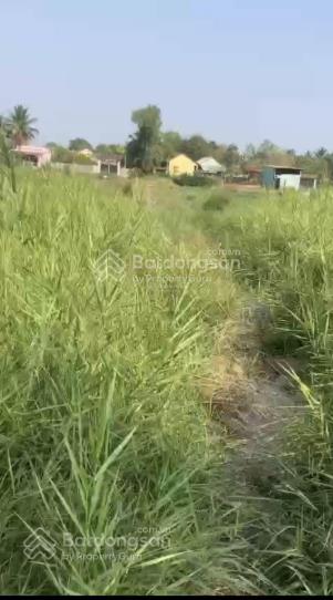 Cần bán hơn 1 sào đất lúa, đường đê số 2, xã tân nhựt, h. bình chánh, giá 1,25 tỷ