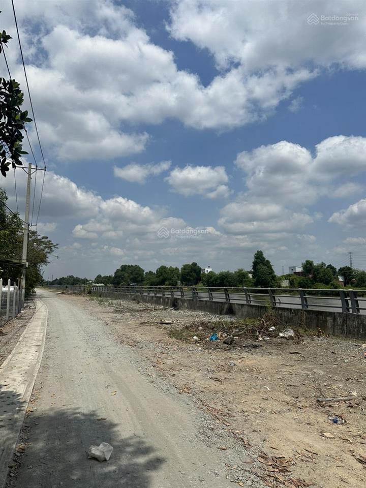 Bán đất cầu kênh sáng, hoocmon