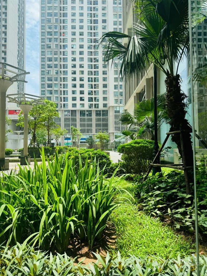 Chính chủ tôi bán căn 2pn2vs eco green, nội thất đầy đủ, có slot ô tô, sổ sẵn, tầng 18, giá 5 tỷ 3