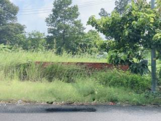 Đất biệt thự sổ hồng riêng, dt 196m2 đất 2 mặt tiền trước sau giá tốt 60tr/m2