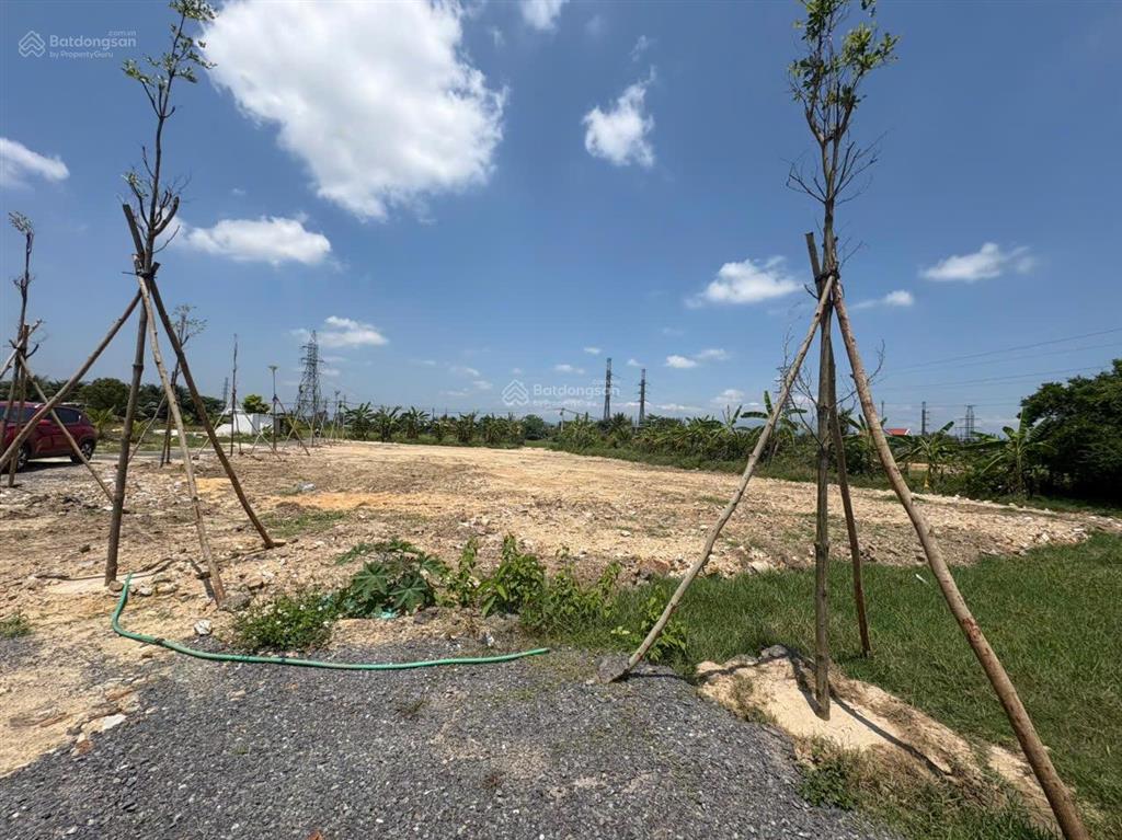 Đất phường ninh hoà full thổ dt lớn phù hợp đầu tư phân lô chỉ 4 triệu/m2