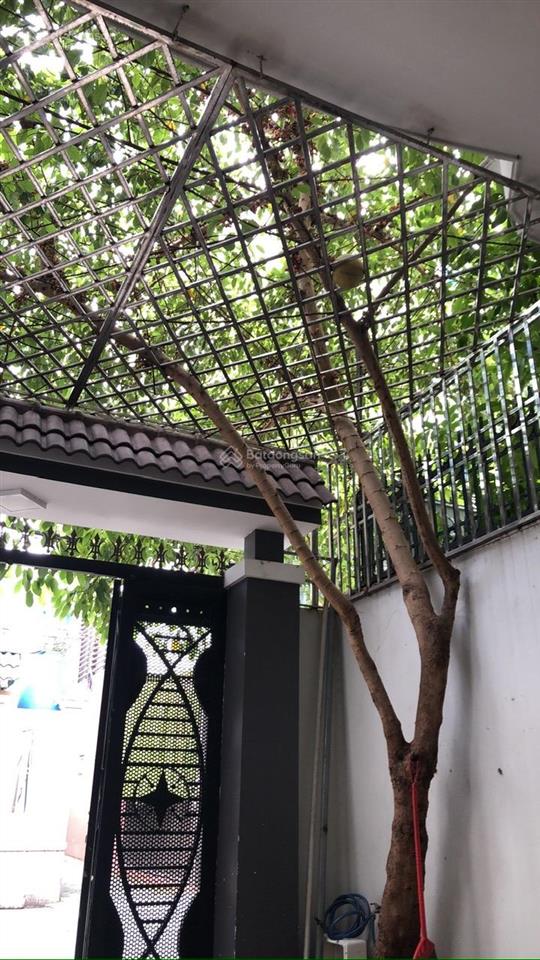 Cho thuê nhà núi thành tân bình (4.4x27)