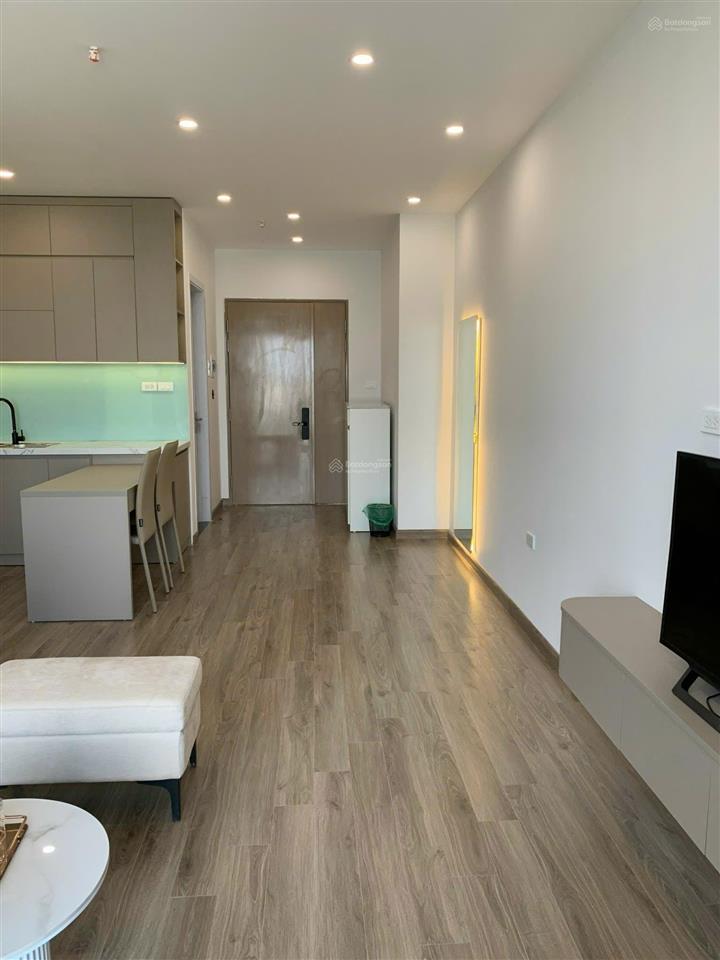 Nổi bật căn hộ 1pn n05 berriver giá chỉ 5,2 tỷ có thương lượng