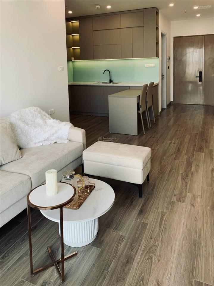 Nổi bật căn hộ 1pn n05 berriver giá chỉ 5,2 tỷ có thương lượng