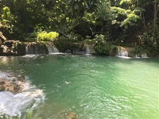 Bán trang trại tại xã thạch bình, thạch thành, thanh hóa, 42k/m2, 500000 m2, chính chủ hot!