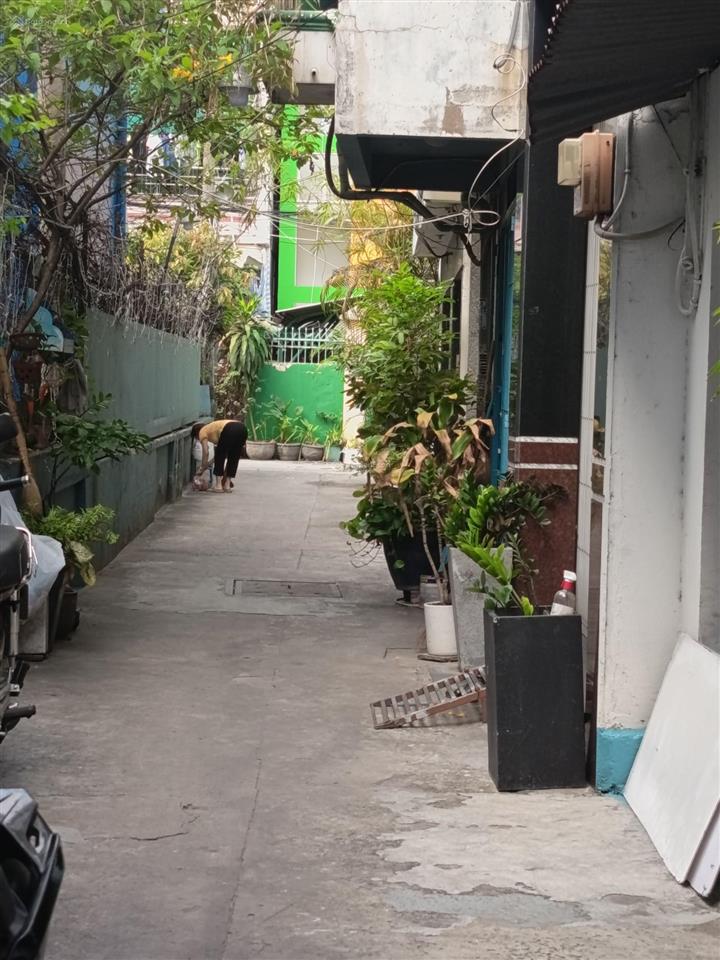 Bán gấp nhà 3 tầng đường thành thái, f 14 quận 10, giá 4,5 tỷ
