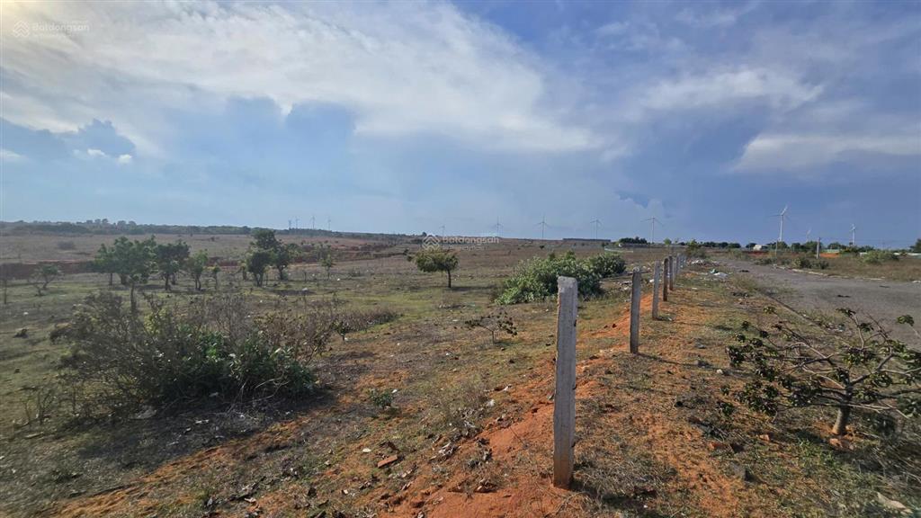 Bán 11.489m2 đất hòa thắng, bắc bình, bình thuận  ngang 96,98m nở hậu 126,38m  giá 35 tỷ