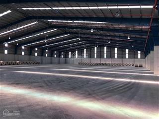 Ct hoa phượng cho thuê kx tại tx phú mỹ, tỉnh br  vt, có kho full dịch vụ, ql (500m2 đến 40.000m2)