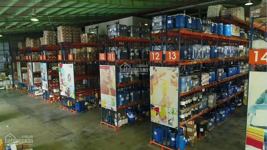 Ct hoa phượng cho thuê kx tại tx phú mỹ, tỉnh br  vt, có kho full dịch vụ, ql (500m2 đến 40.000m2)