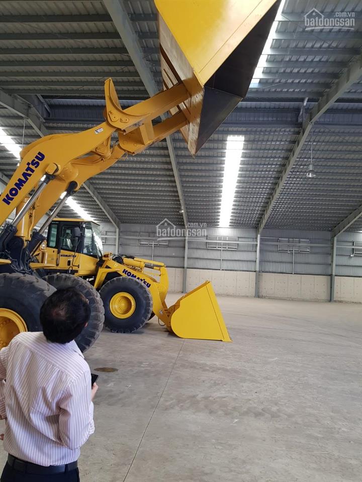 Ct hoa phượng cho thuê kx tại tx phú mỹ, tỉnh br  vt, có kho full dịch vụ, ql (500m2 đến 40.000m2)
