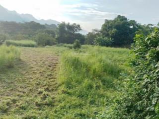 Chính chủ cần bán 1200m2 đất vườn , bám suối to , view cánh đồng . cách thác trăng 3km