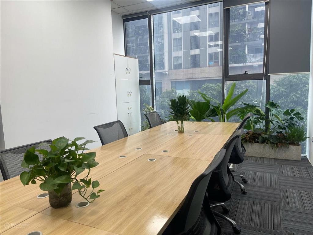 Cho thuê văn phòng nguyễn khánh toàn 70m2 giá 14tr miễn phí ngoài giờ
