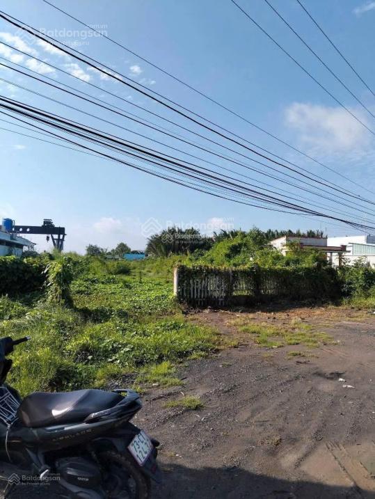 Bán đất quốc lộ 1a, nhị thành, thủ thừa, long an, 165 tỷ, 6000 m2, view đẹp, giá ưu đãi