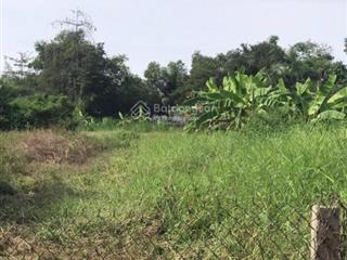 Bán 6.000m² mặt tiền quốc lộ 1a thủ thừa ngang 80m giá 165 tỷ