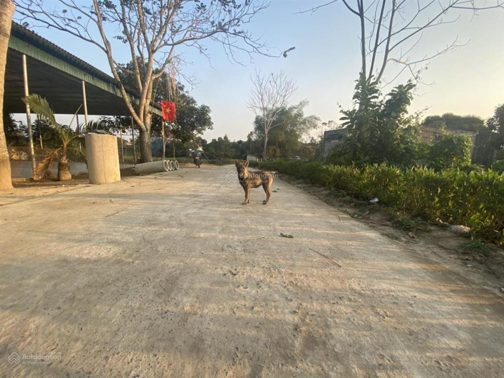 Bán 6.138m2 đất thôn cao thắng cao thịnh ngọc lặc thanh hóa nay là xã ngọc liên tỉnh thanh hóa