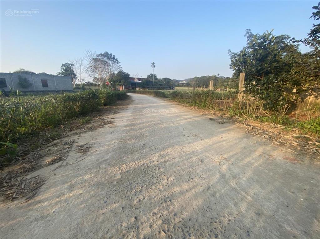 Bán 6.138m2 đất thôn cao thắng cao thịnh ngọc lặc thanh hóa nay là xã ngọc liên tỉnh thanh hóa