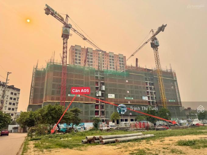 Bán nhanh căn chung cư phenika tòa 21t2, đang trả theo tiến độ giá chỉ 1.9x tỷ