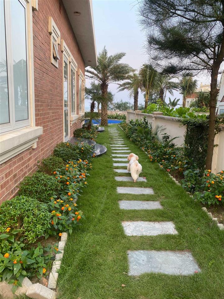 Chính chủ cần bán căn villa đối diện biển 615m2  15 tỷ 0942 204 ***